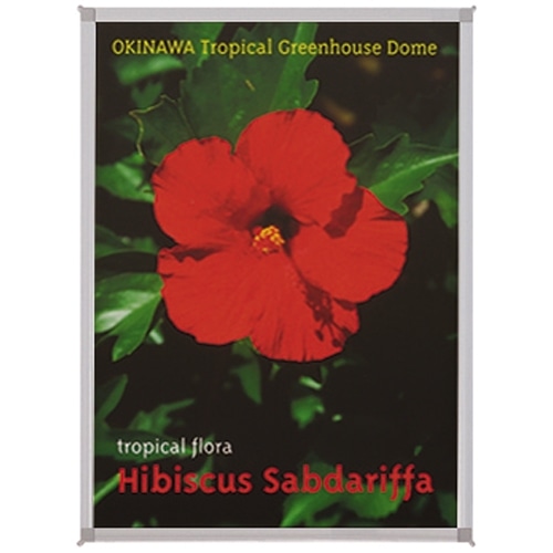 ジョインテックス マルチパネル 10枚 B193J-A3 1箱(ご注文単位1箱)【直送品】