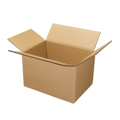 ジョインテックス Wフルートダンボール箱 大 10枚 B239J-L 1パック（ご注文単位1パック）【直送品】