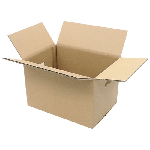 ジョインテックス WF穴付ダンボール箱 大 10枚 B242J-L 1パック（ご注文単位1パック）【直送品】