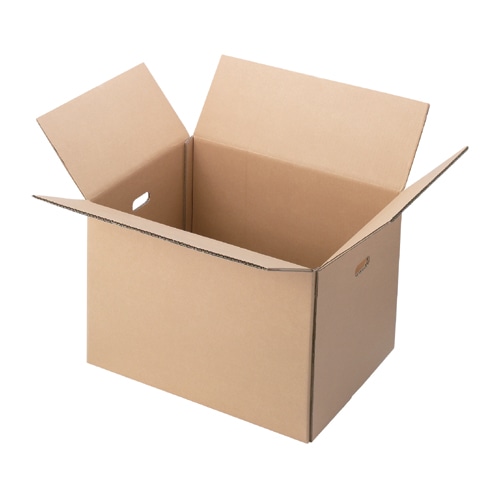 ジョインテックス WF穴付ダンボール箱 特大 10枚 B244J-3L 1パック（ご注文単位1パック）【直送品】