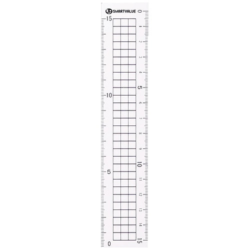 スマートバリュー 再生PET直定規 15cm*10本 B331J-10 1パック（ご注文単位1パック）【直送品】