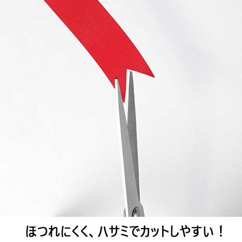 スマートバリュー カラーリボン 黄緑 24mm*25m 10個 B824J-YG10 1パック(ご注文単位1パック)【直送品】