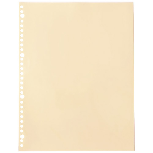 スマートバリュー OPPクリアポケット 中紙有30穴 10枚 D118J 1パック（ご注文単位1パック）【直送品】