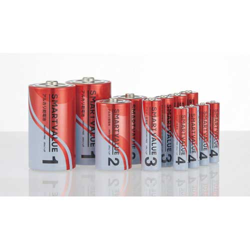 スマートバリュー アルカリ乾電池 単4×40本 N124J-4P-10 1箱(ご注文単位1箱)【直送品】