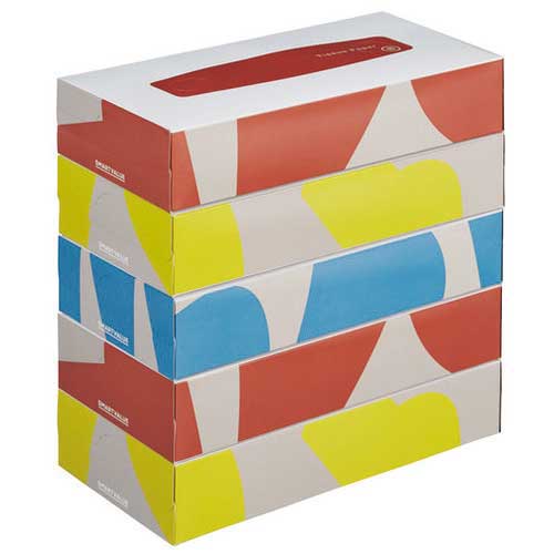 スマートバリュー ティッシュペーパー 60箱入 N242J-12 1セット(ご注文単位1セット)【直送品】