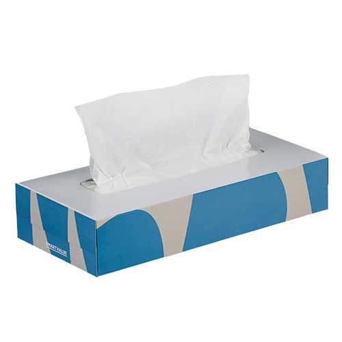 スマートバリュー ティッシュペーパー 60箱入 N242J-12 1セット(ご注文単位1セット)【直送品】