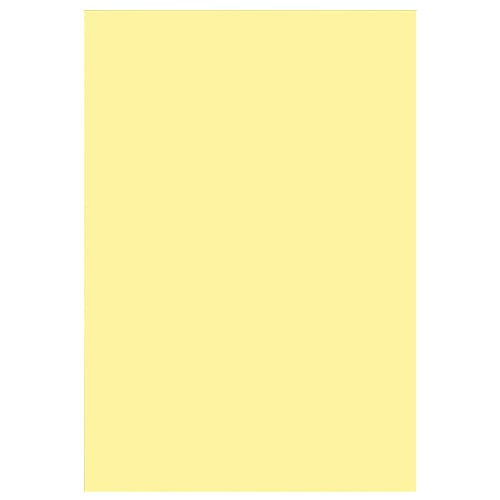 スマートバリュー 色画用紙 8ツ切 10枚 クリーム P148J-16 1パック（ご注文単位1パック）【直送品】