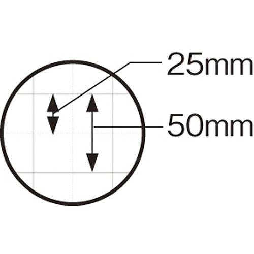 スマートバリュー 方眼模造紙 プルタイプ 50枚 クリーム P152J-Y6 1セット（ご注文単位1セット）【直送品】