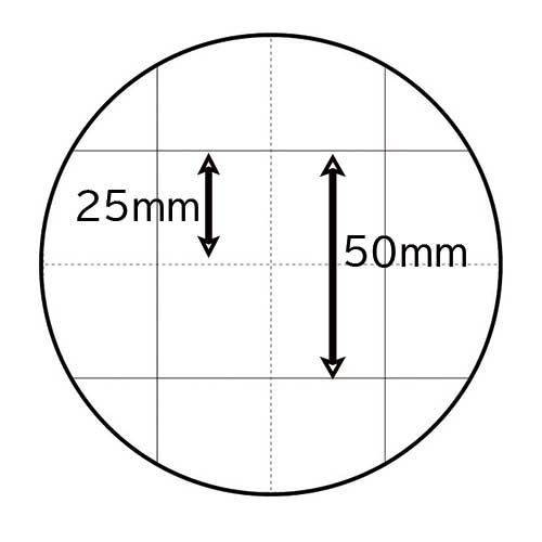 スマートバリュー 模造紙 プルタイプ 20枚 方眼 うぐいす P154J-G 1箱（ご注文単位1箱）【直送品】