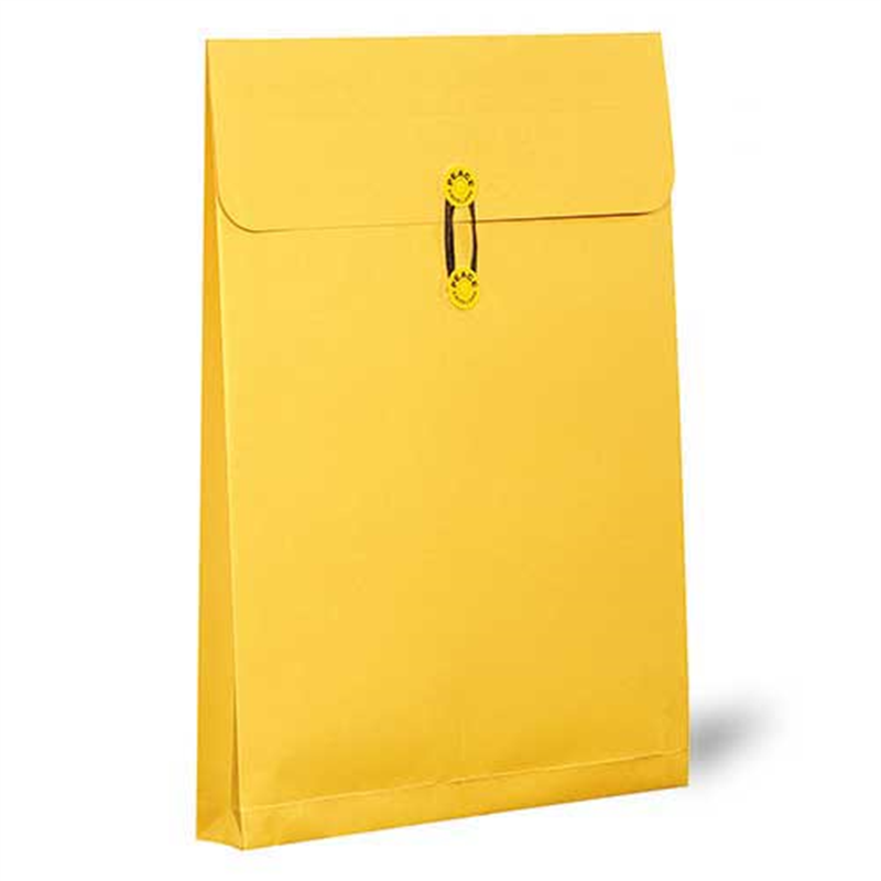 高春堂 カーデックス 132 マチ紐付 A3 10枚 1個（ご注文単位1個）【直送品】