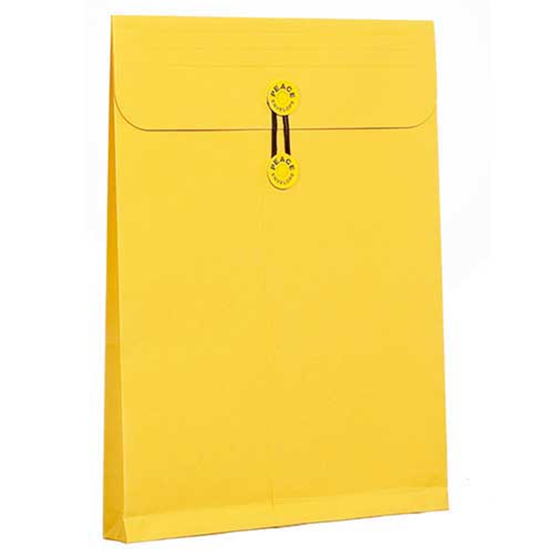 高春堂 カーデックス 134 マチ紐付 角2 50枚 1個（ご注文単位1個）【直送品】