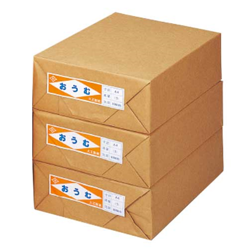 大王製紙 更紙 おうむS A4 1000枚×3包 1個（ご注文単位1個）【直送品】