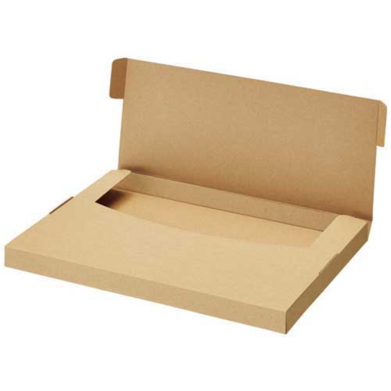 ハピラ 小物用ダンボール箱 A4 厚さ2.4cm 20枚入り 1個（ご注文単位1個）【直送品】