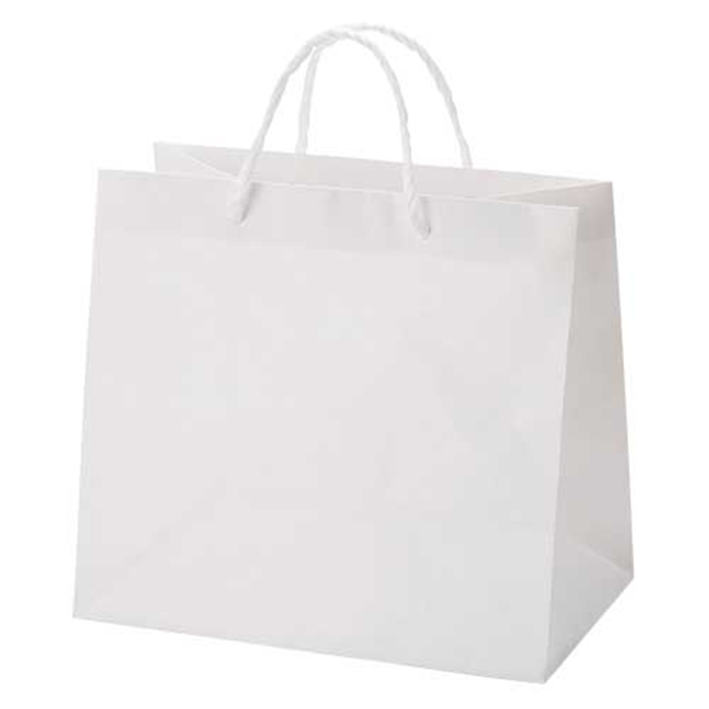 HEIKO 広口チャームバッグ M-1 10枚 6442100 1個（ご注文単位1個）【直送品】