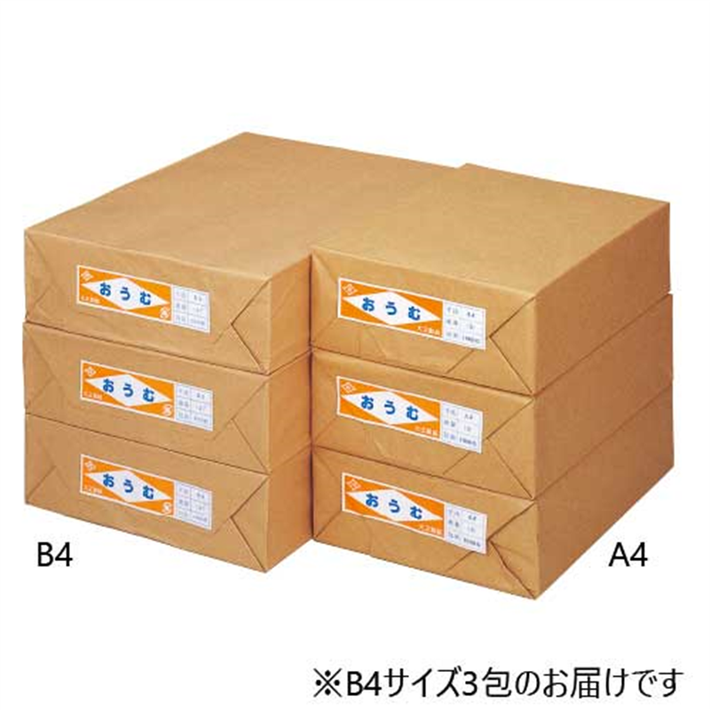 大王製紙 更紙 おうむS B4 1000枚×3包 1個（ご注文単位1個）【直送品】