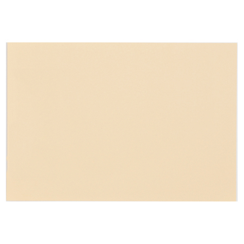 大王製紙 再生色画用紙 8ツ切10枚 しらちゃ 1個（ご注文単位1個）【直送品】