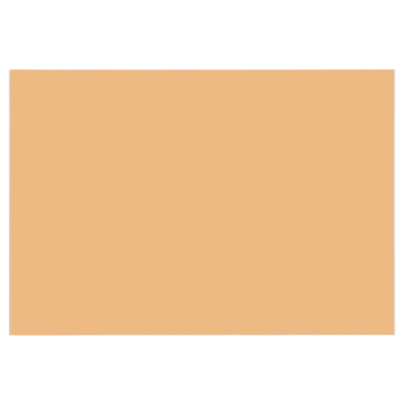 大王製紙 再生色画用紙 8ツ切10枚 うすちゃ 1個（ご注文単位1個）【直送品】