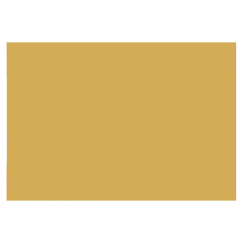 大王製紙 再生色画用紙 8ツ切10枚 くちばいろ 1個（ご注文単位1個）【直送品】