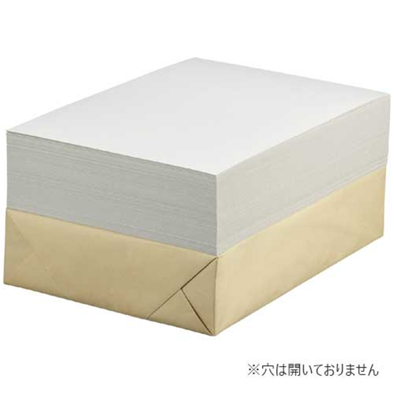 セキレイ 白ボール紙 CA4 A4 100枚 1個（ご注文単位1個）【直送品】