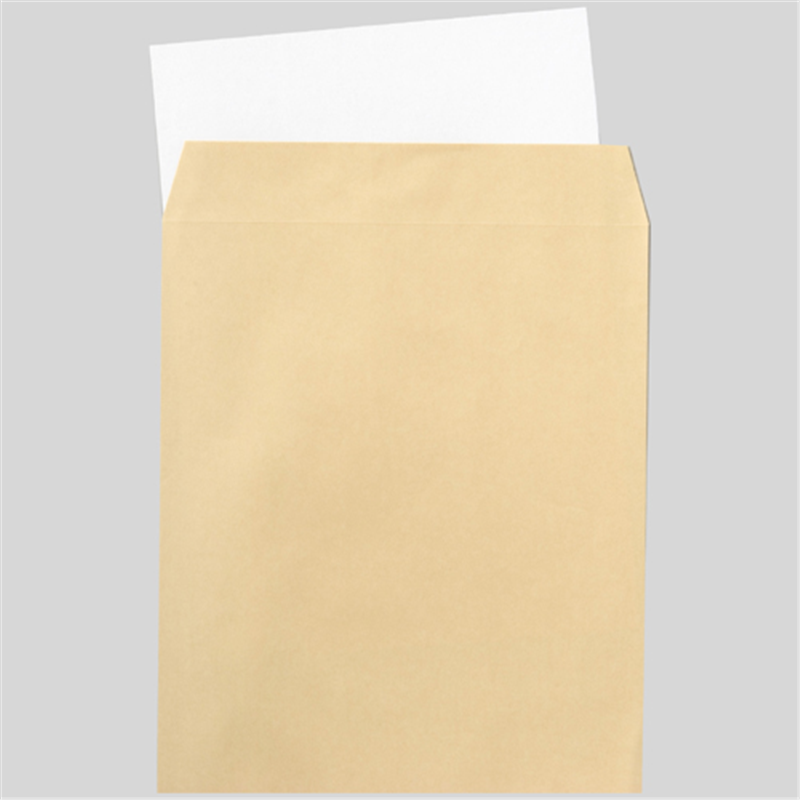 セキレイ 白ボール紙 CA4 A4 100枚 1個（ご注文単位1個）【直送品】