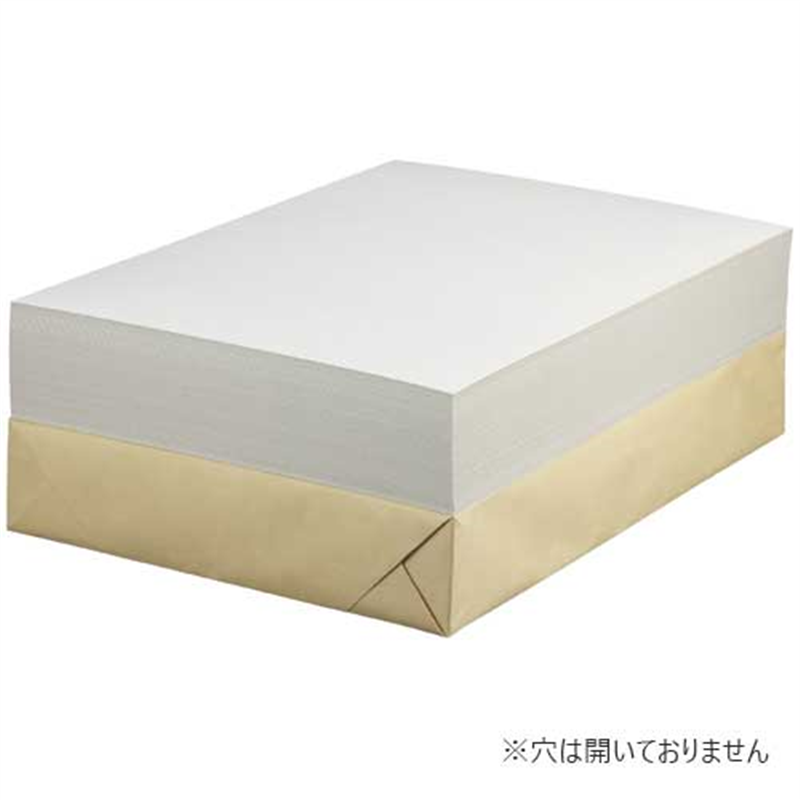 セキレイ 白ボール紙 CA3 A3 100枚 1個（ご注文単位1個）【直送品】