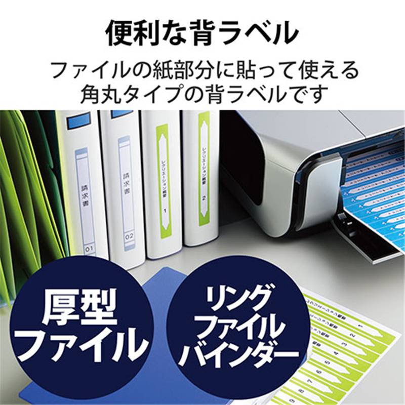 エレコム 背ラベルファイル用A4 13面10枚 EDT-TF13 1個(ご注文単位1個)【直送品】