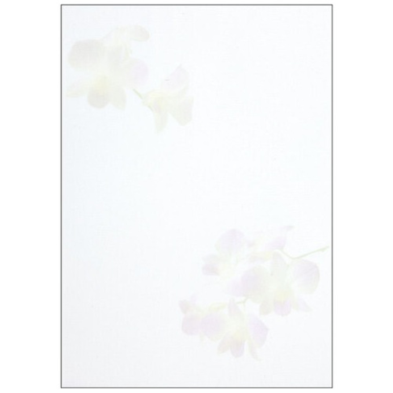 アピカ 便箋 セン301 花妙 セミB5 40枚 1個(ご注文単位1個)【直送品】