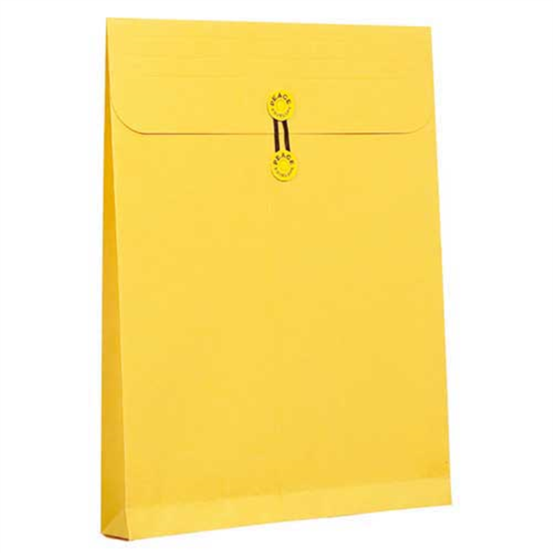 高春堂 カーデックス 133 マチ紐付 角0 1個（ご注文単位1個）【直送品】