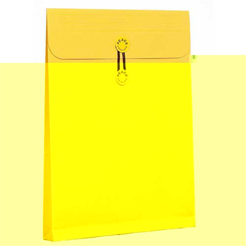 高春堂 カーデックス 134 マチ紐付 角2 1個（ご注文単位1個）【直送品】