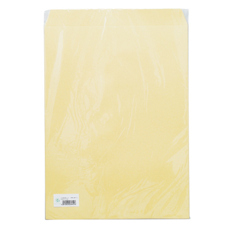 寿堂 大型クラフト封筒 A3マチなし 10枚パック 1個（ご注文単位1個）【直送品】