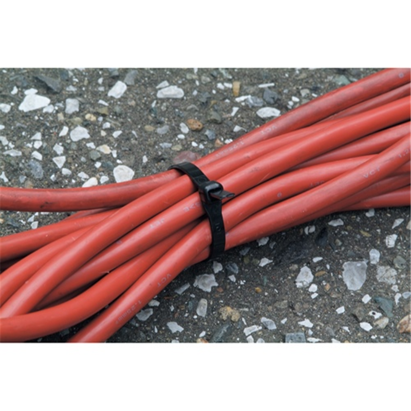 パンドウィットコーポレーション 耐候性ナイロン結束バンド PLT100B 1個(ご注文単位1個)【直送品】