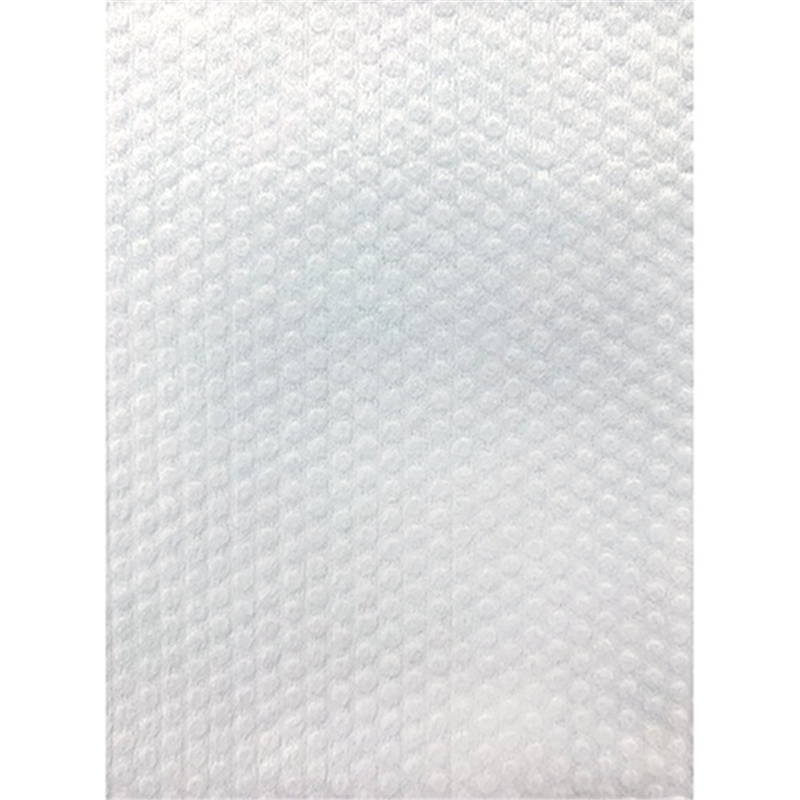 オーミケンシ 使い捨て不織布バスタオル10枚 1個(ご注文単位1個)【直送品】