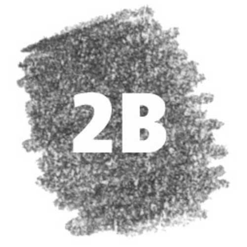 ステッドラー マルス カーボン芯2B 200-2B 1個（ご注文単位1個）【直送品】