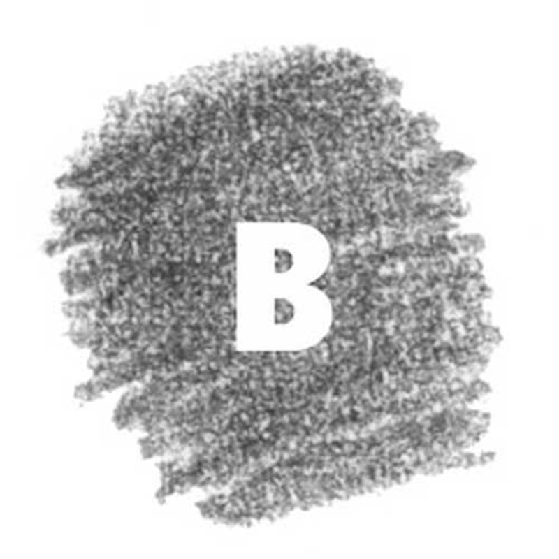 ステッドラー マルス カーボン芯B 200-B 1個（ご注文単位1個）【直送品】