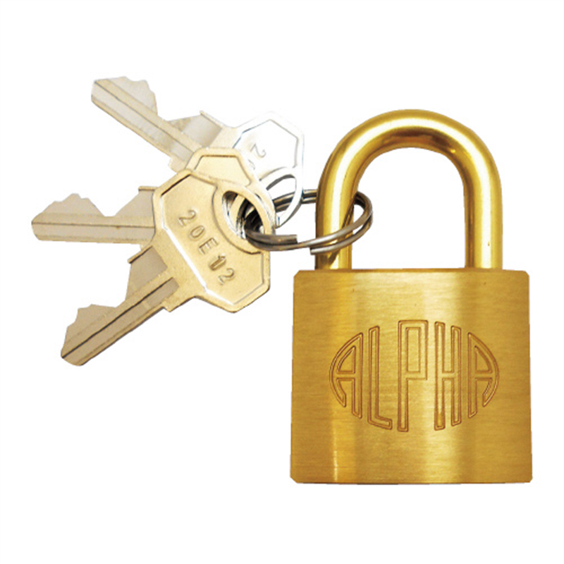 アルファ シリンダー錠 NO.1000-30 袋入 30mm 1個（ご注文単位1個）【直送品】