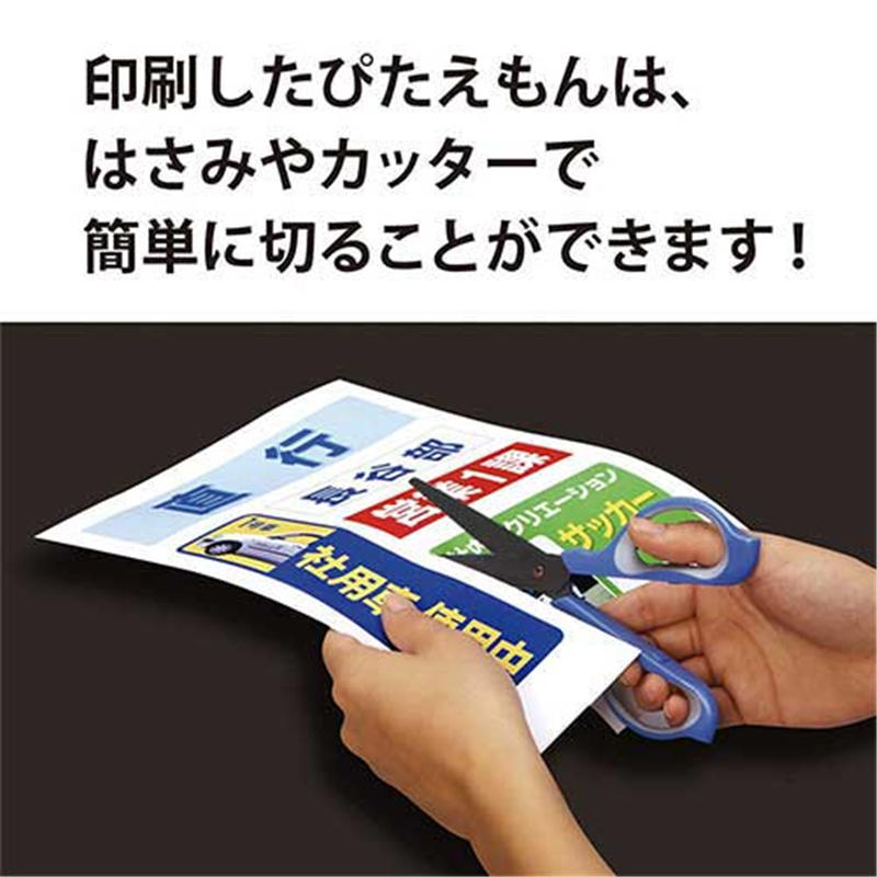 マグエックス ぴたえもん MSP-02-A4-1 A4/全面 5枚 1個（ご注文単位1個）【直送品】