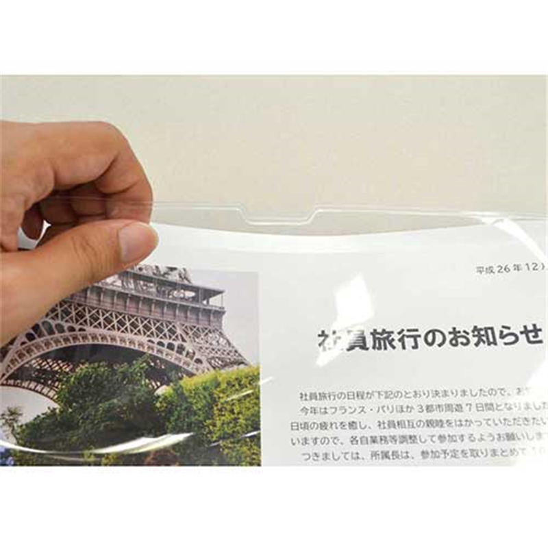 マグエックス マグネットカードケースツヤ有A4 MCARD-A4G 1個（ご注文単位1個）【直送品】