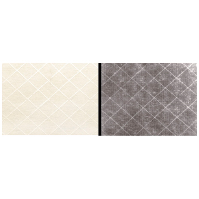 ダイアンサービス クリーンフィルターⅢ57 2枚入 1個(ご注文単位1個)【直送品】