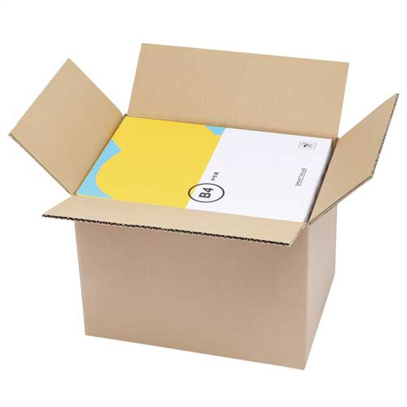 TP 宅配用段ボール箱 100サイズ 10枚 TP-003 1個（ご注文単位1個）【直送品】