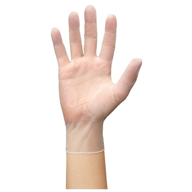 ショーワグローブ 809 ビニール手袋 100枚 L 粉なし 1個(ご注文単位1個)【直送品】