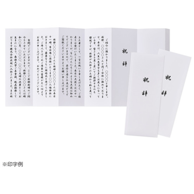 マルアイ 式辞用紙 奉書風 GP-シシ10 1個(ご注文単位1個)【直送品】