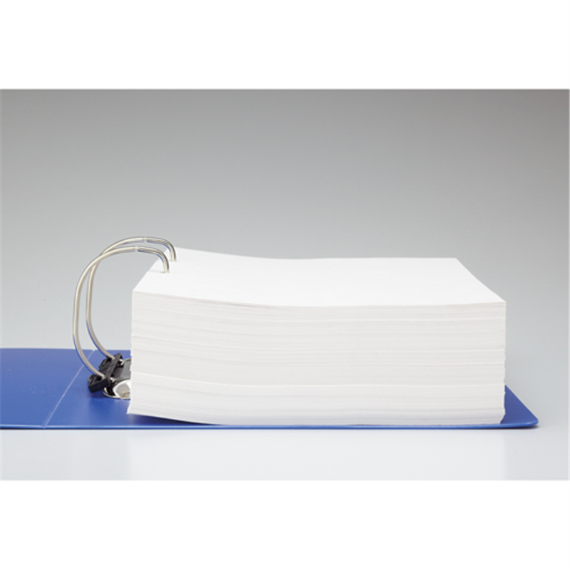 LIHITLAB D型リングファイル A4S 赤 G2290-3 1個（ご注文単位1個）【直送品】