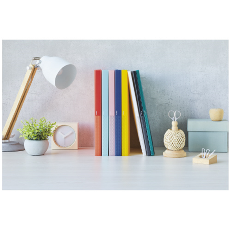 LIHITLAB クリヤーブック20P N-8101-1透明 1個(ご注文単位1個)【直送品】