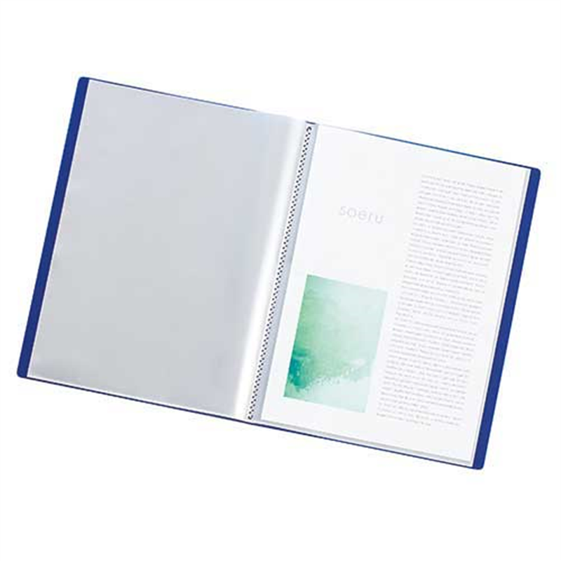 LIHITLAB クリヤーブック10P N-8100-7 緑 1個（ご注文単位1個）【直送品】