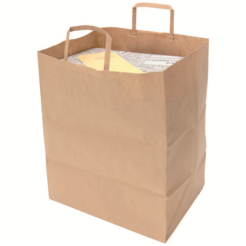 ネクスタ 紙資源回収袋 5枚入 eco 1個（ご注文単位1個）【直送品】