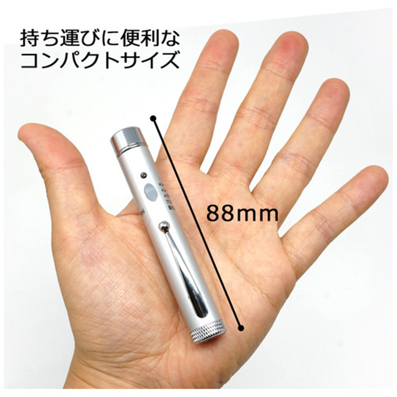 POLARIS 赤色レーザーポインター EM-16S 1個(ご注文単位1個)【直送品】