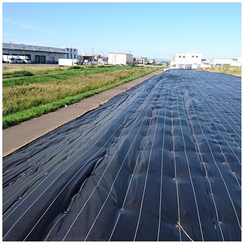 萩原工業 グランドバリアクロス-10 2m×50m巻 1個（ご注文単位1個）【直送品】