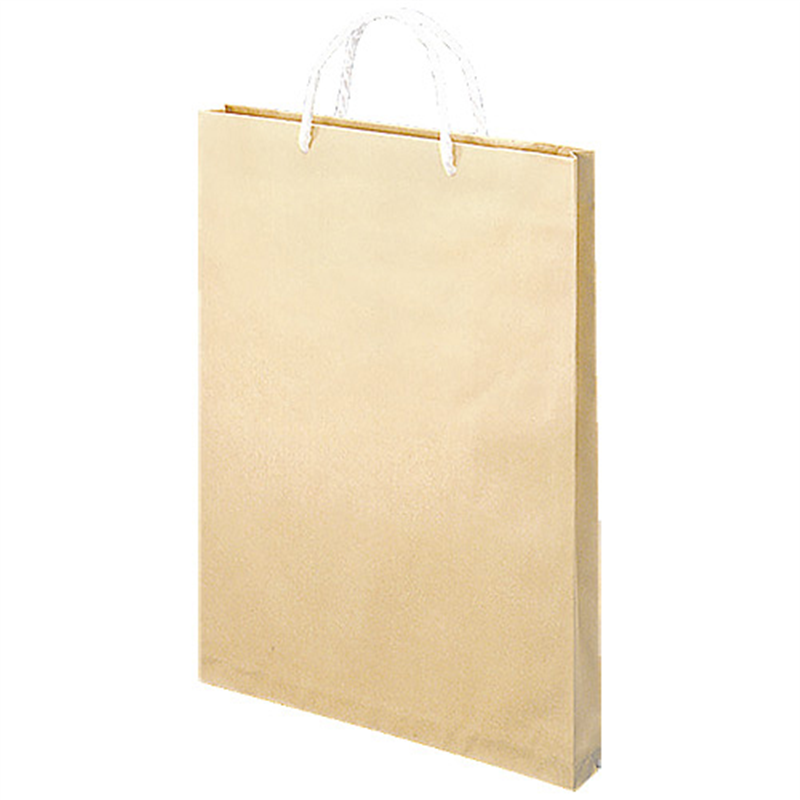 うずまき 額縁手提袋 ベ585 茶 B4 10枚 1個(ご注文単位1個)【直送品】