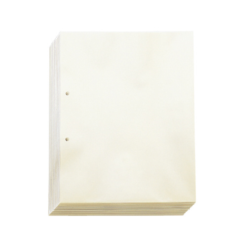 キングジム 透明ポケット 103-100 A4-S 2穴 100枚 灰 1個（ご注文単位1個）【直送品】