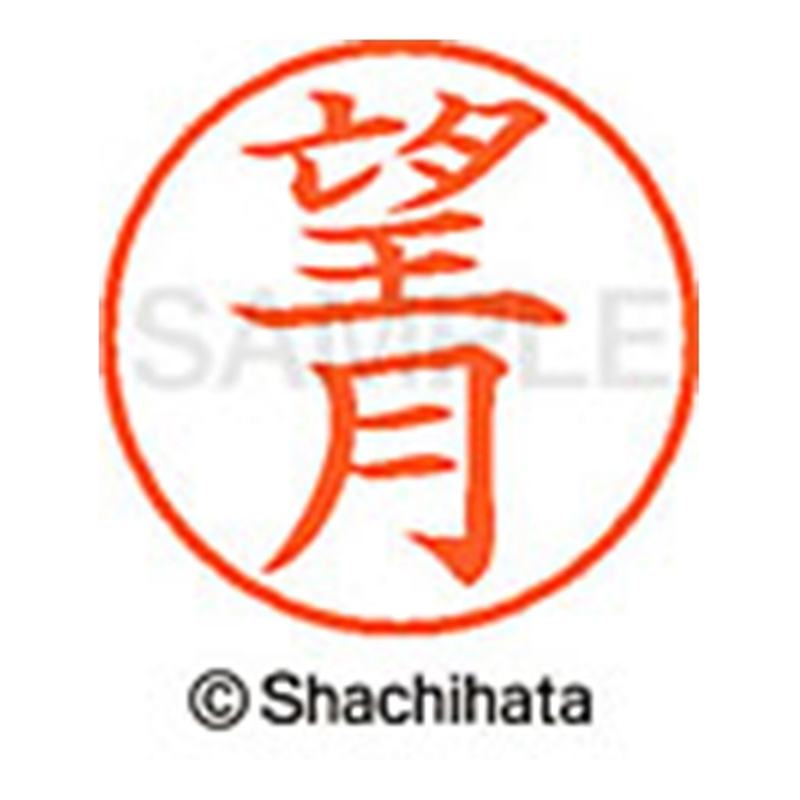 シヤチハタ ネーム9既製 XL-9 1920 望月 1個（ご注文単位1個）【直送品】